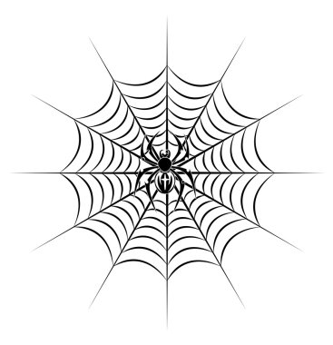 Spider on web clipart
