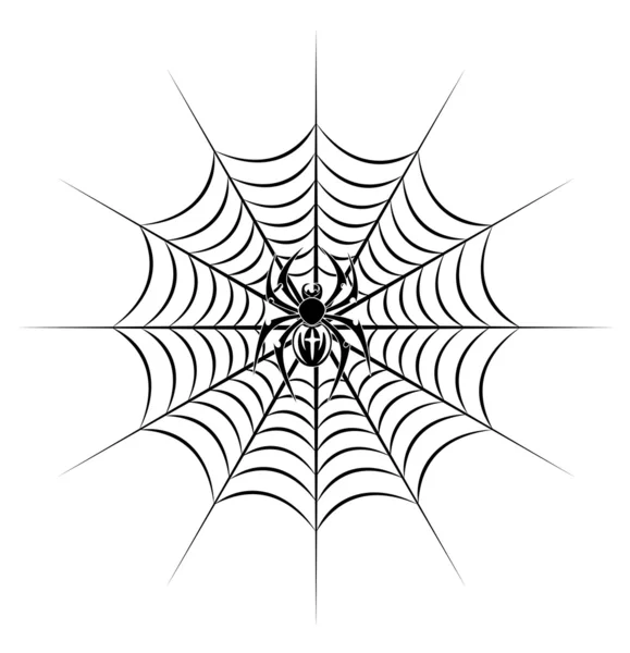 Spider on web — Stock Vector