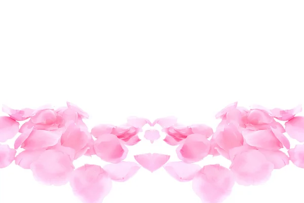 Stock image Rose petals