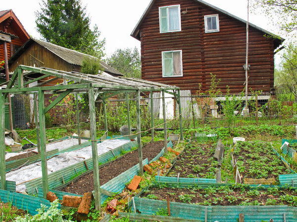 Spring kitchen garden