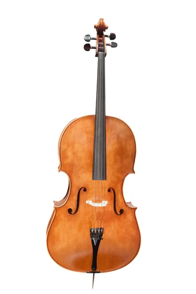 Скрипки — стоковое фото