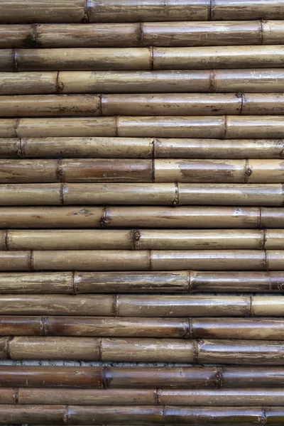 Vecchio sfondo di bambù — Foto Stock