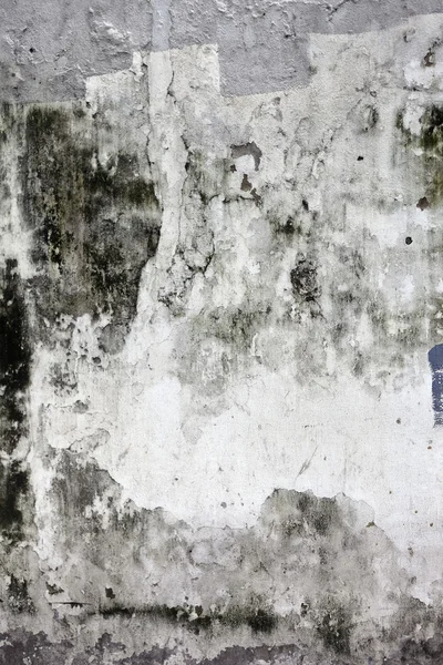 Grunge parede de concreto rachado — Fotografia de Stock
