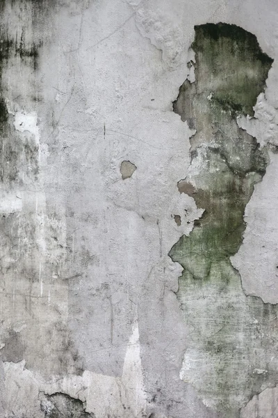 Grungesprekk i betongveggen – stockfoto