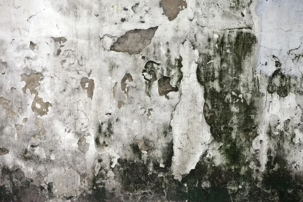 Grunge 开裂混凝土墙 — 图库照片