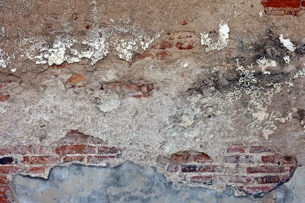 Fondo de pared de piedra de fragmento detallado alto —  Fotos de Stock