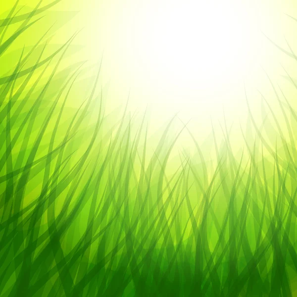 Fond avec herbe — Image vectorielle