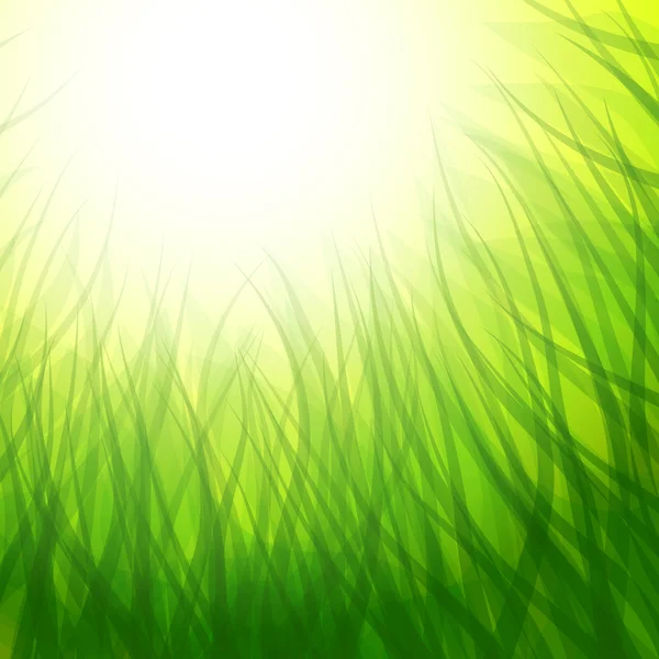 Background with grass — Stock Vector