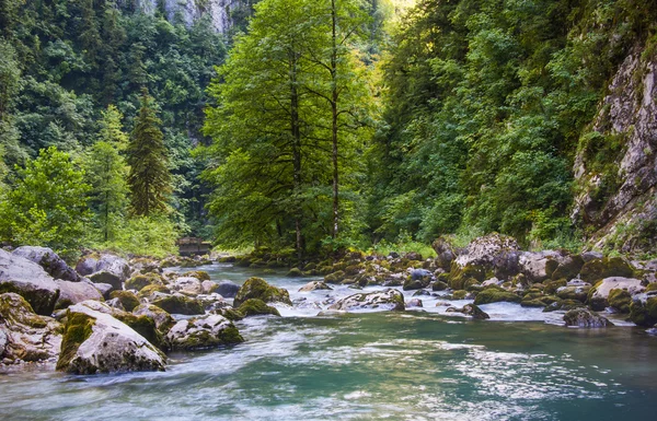 stock image Mountain stream