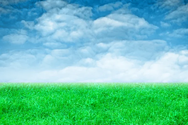 푸른 풀 과 하늘을 배경으로 한 풍경 — 스톡 사진