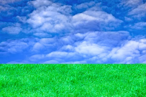 Пейзаж з зеленою травою і небом — стокове фото
