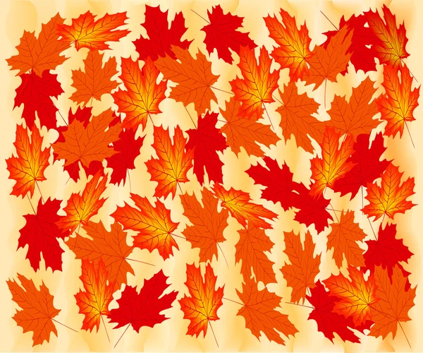 Sonbaharda akçaağaç yaprağı, dosya eps.8 illüstrasyon. — Stok Vektör