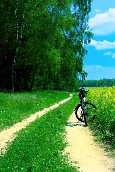Bicicletta in estate scena rurale — Foto Stock