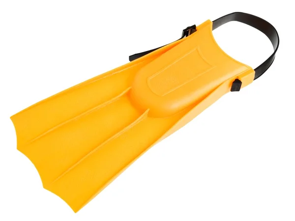 Flipper amarelo — Fotografia de Stock