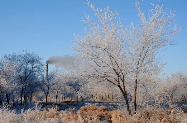 Winter Landscape and Smoking Chimney — Stock Photo, Image