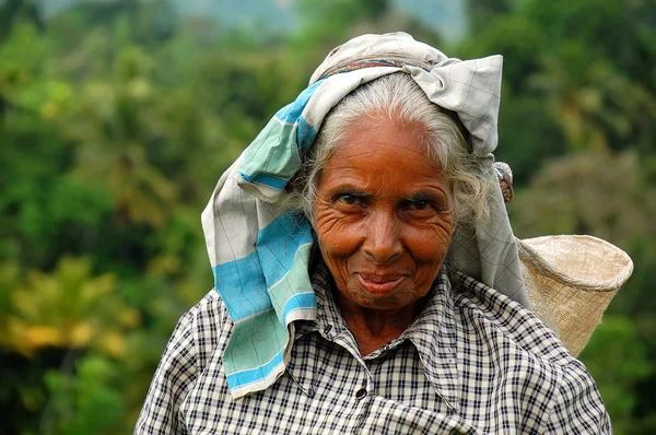 Portrait of Aged Tamil Tea Picker — Stock Photo, Image