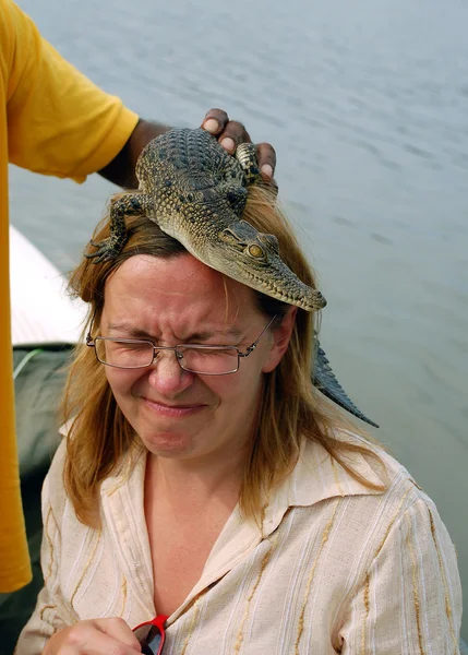 Baby Crocodile on the Woman's Head — Stock Photo, Image