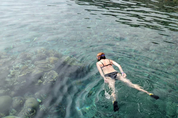Mergulho de snorkel no Mar Vermelho — Fotografia de Stock