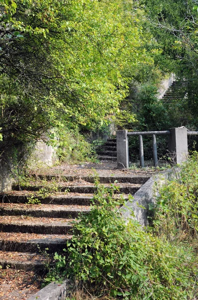 Steps in the Old Park — Stok fotoğraf