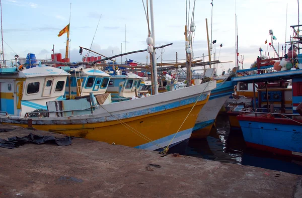 Port rybacki w sri lanka — Zdjęcie stockowe