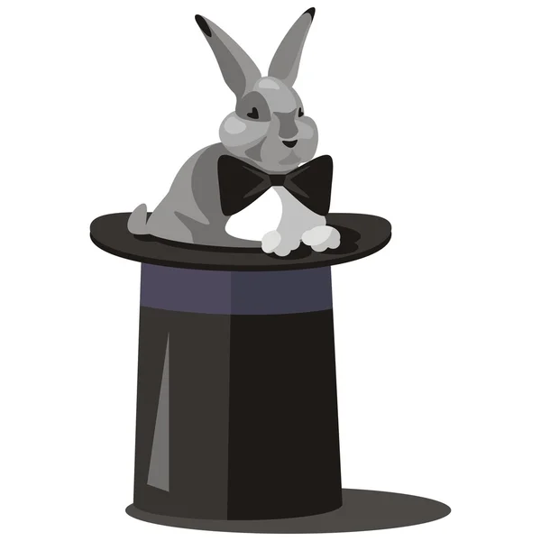 Hare i hatt i färg 09 — Stock vektor