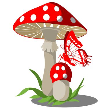 Mushrooms set 004 clipart