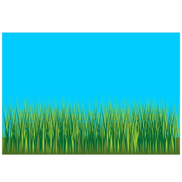 Gras achtergrond 001 — Stockvector