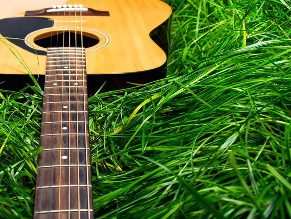 Acoustic guitar in green grass — Stock Photo, Image