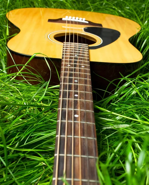 Acoustic guitar in green grass — Stock Photo, Image