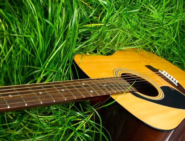Akustická kytara v zelené trávě — Stock fotografie