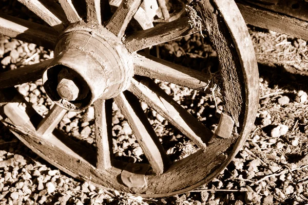 老木轮 — 图库照片