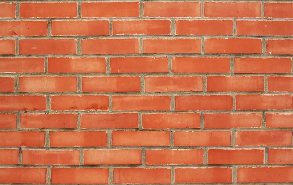 Rote Ziegelmauer — Stockfoto