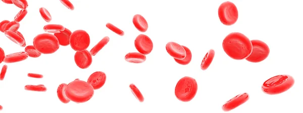 Красные кровяные тельца выделены на белом — стоковое фото