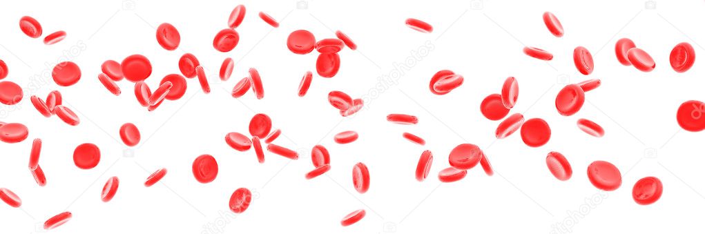 Red blood cells isolated on white