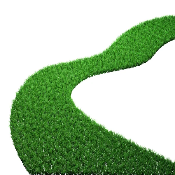 Зеленый путь из травы — стоковое фото