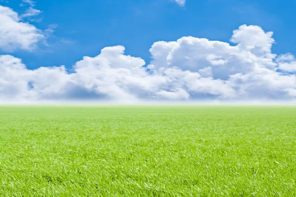 Hermoso campo con una hierba verde y el hermoso cielo en el horizonte con nubes esponjosas —  Fotos de Stock