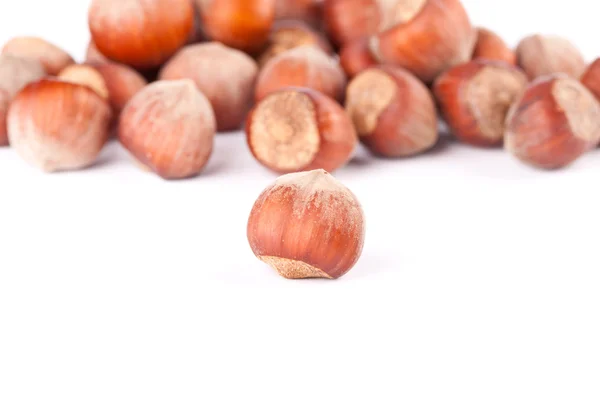 Hazelnuts on the white isolated background — Stock Photo, Image
