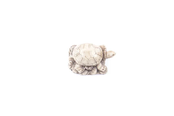 Schildpad standbeeld — Stockfoto