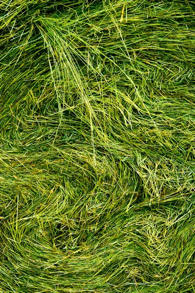 Hay stack texture — Stock Photo, Image