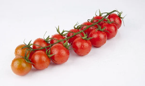 Свіжі вишневі помідори на гілці — стокове фото