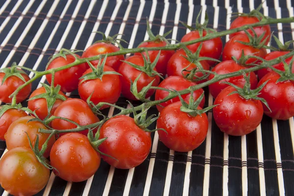 Tomates Cherry frescos en la rama —  Fotos de Stock