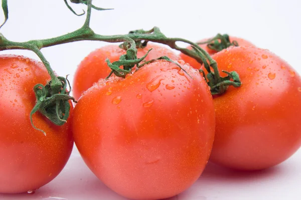 흰 바탕에 가지 가 있는 싱싱 한 토마토 — 스톡 사진