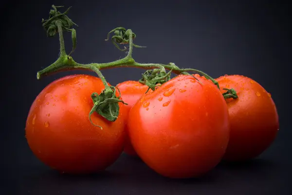 Čerstvá rajčata s pobočkou — Stock fotografie