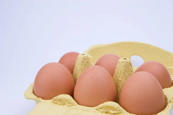 Confezione uova chiken — Foto Stock