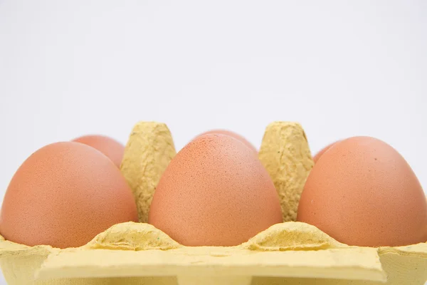 Pacote de ovos de chiken — Fotografia de Stock