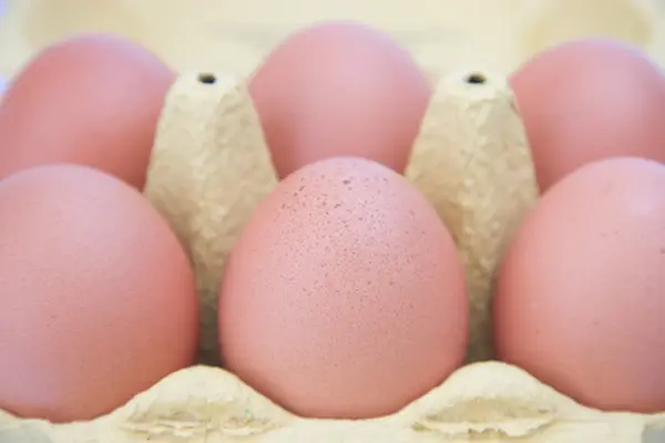 Confezione uova chiken — Foto Stock