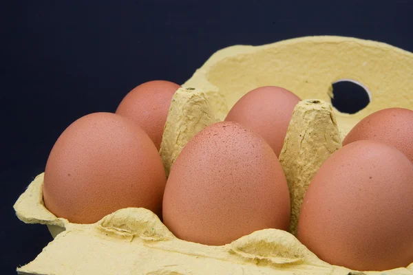 Pacote de ovos de chiken — Fotografia de Stock