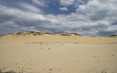 çöl dunes