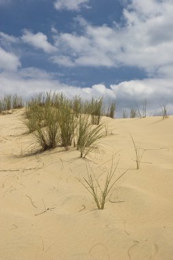 çöl dunes