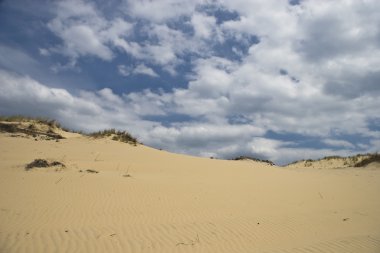 çöl dunes